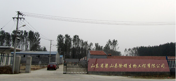 庆七一，贺我公司新厂区正式投产
